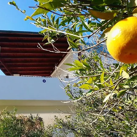 Quarto em Acomodações Particulares Balmahmut Asli